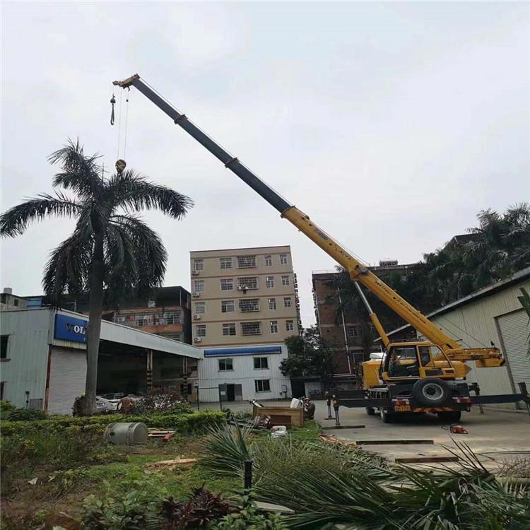 港北树木移栽装卸